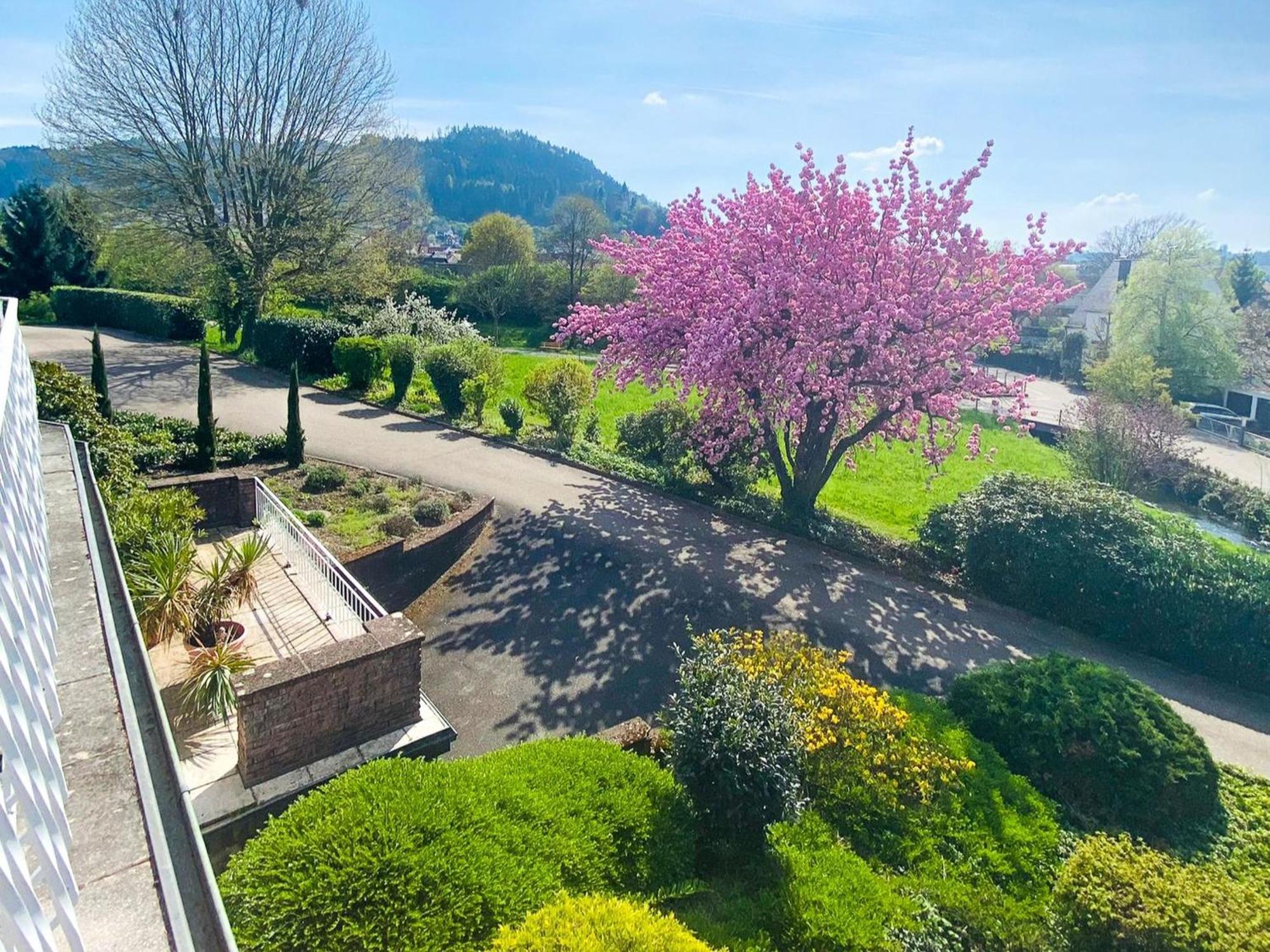 Ferien Am Weinberg Lägenhet Kappelrodeck Exteriör bild